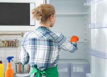 Các lưu ý khi làm sạch tủ lạnh 