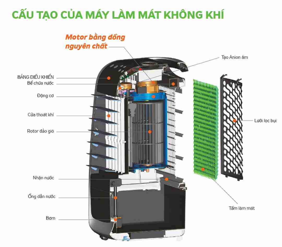 Cấu tạo bao gồm những gì? 