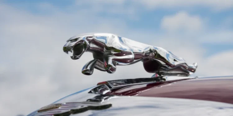 Tìm hiểu mua bán Jaguar mới hoặc đã qua sử dụng tại otodaibang.com