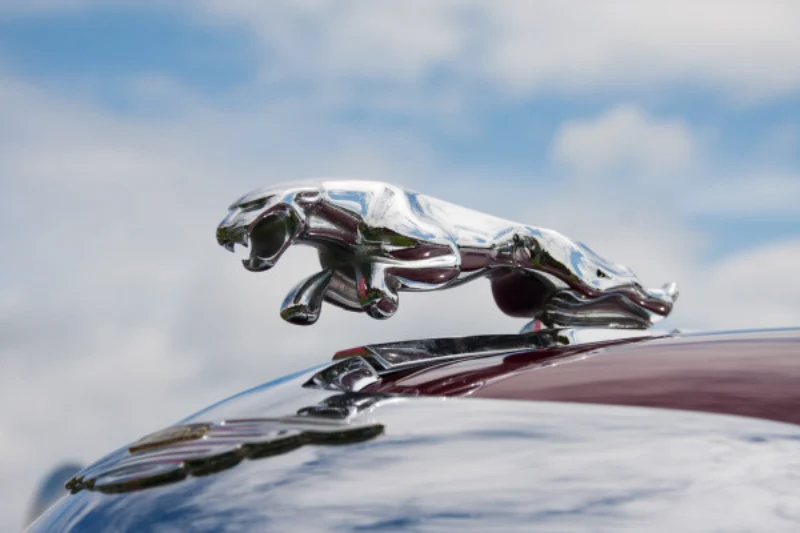 Tìm hiểu mua bán Jaguar mới hoặc đã qua sử dụng tại otodaibang.com